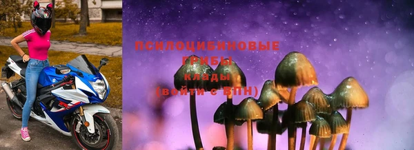 спайс Аркадак