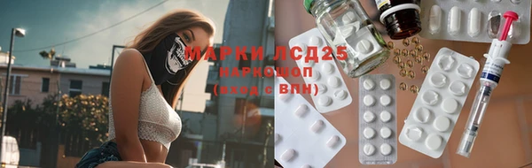 спайс Аркадак