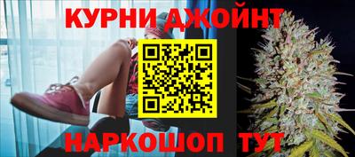 прущие грибы Апшеронск