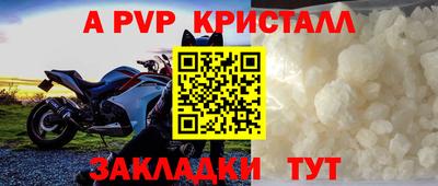 прущие грибы Апшеронск