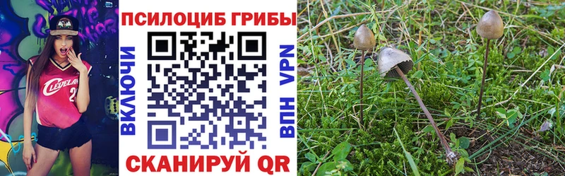 Псилоцибиновые грибы прущие грибы  Аша 