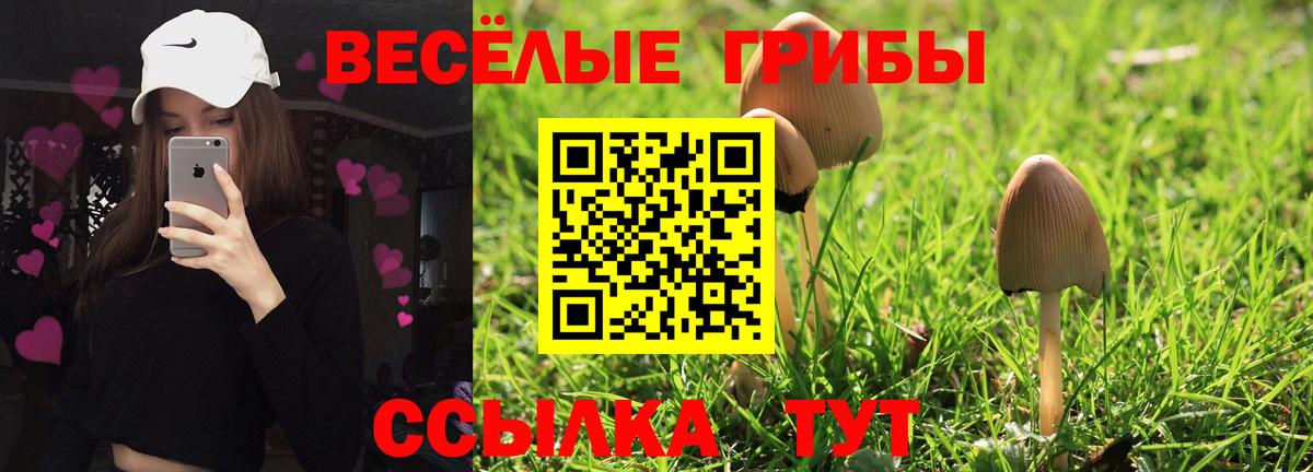 Аша  где купить   Вход с VPN  Галлюциногенные грибы MAGIC MUSHROOMS 